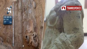 3000 ஆண்டுகள் பழமையான எலும்புக்கூடுகள் எகிப்தில் கண்டெடுப்பு..!